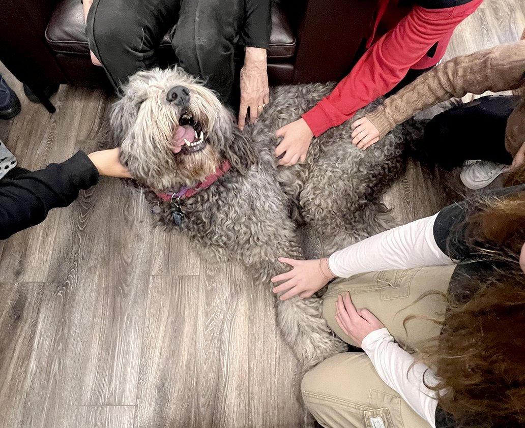 Therapy dogs come to the Shasta High Wellness Center to provide some much-needed stress relief.