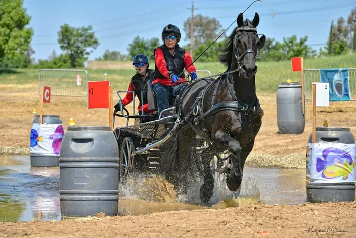 AOY_Cruikshank_driving_in_marathon_obstacles.jpg