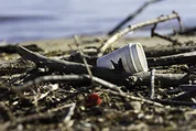Paper cup on a pile of trash.