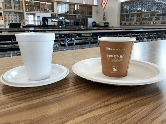 Styrofoam cup beside an eco-friendly paper cup.