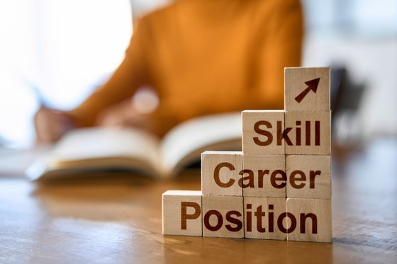 Skill_Career_Position_blocks.jpg