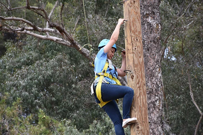 Principal Le Tran climbs a telephone pole.