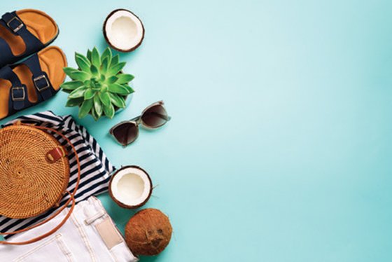 Sunglasses, sandals, coconuts and a beach succulent.